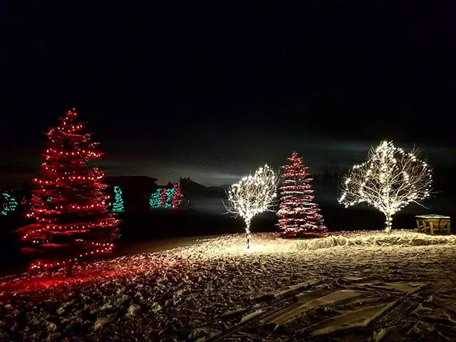 Red and warm white Christmas lights wrapped around trees on a snowy lawn