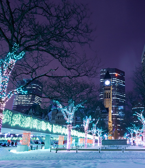 professional holiday lights installation & removal near me