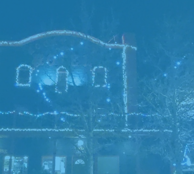 professional holiday lights installation & removal near me