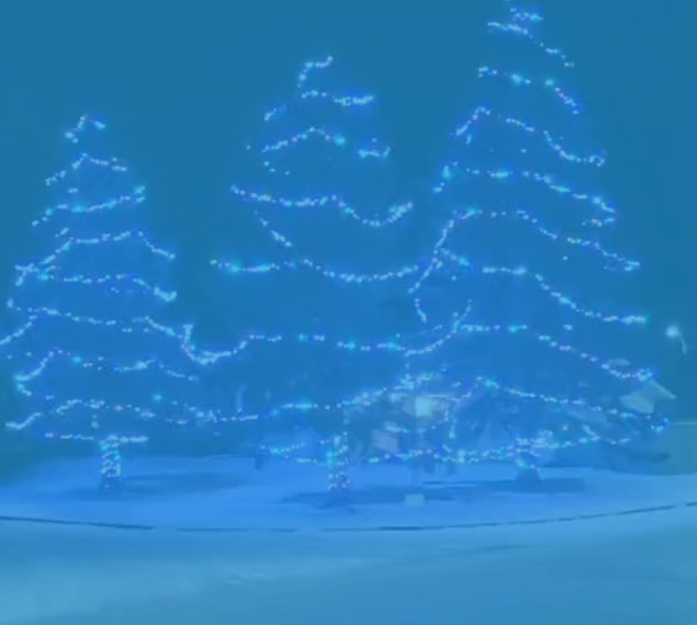 professional holiday lights installation & removal near me