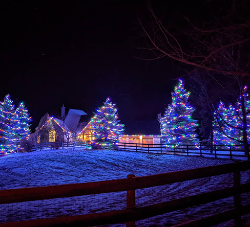 Landscape Lighting & Decoration