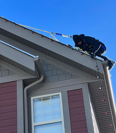 christmas lights removal services
