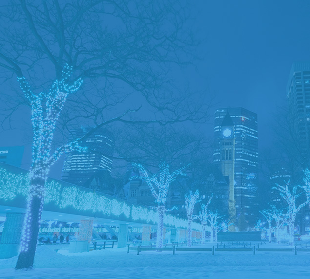 Commercial holiday lights installation